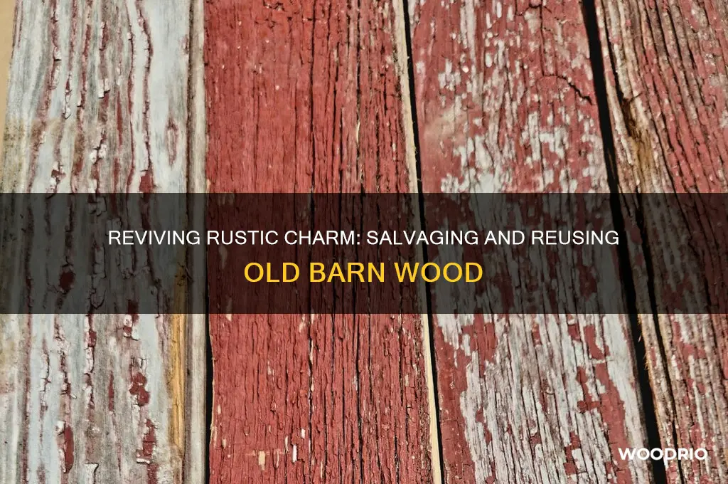 how to salvage old barn wood