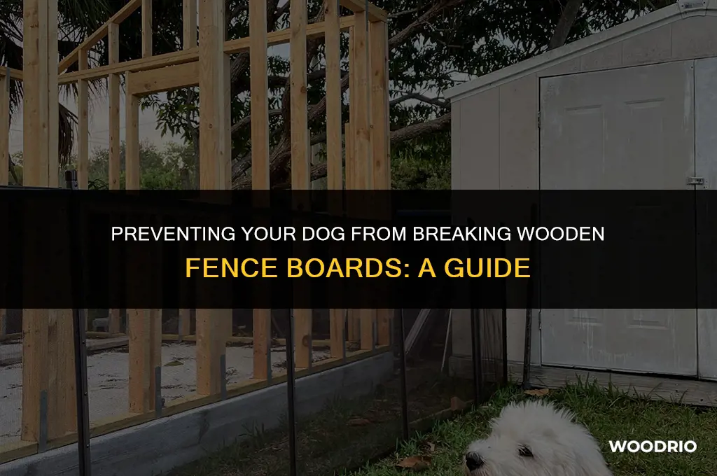 how to stop my dog from breaking wooden fence boards