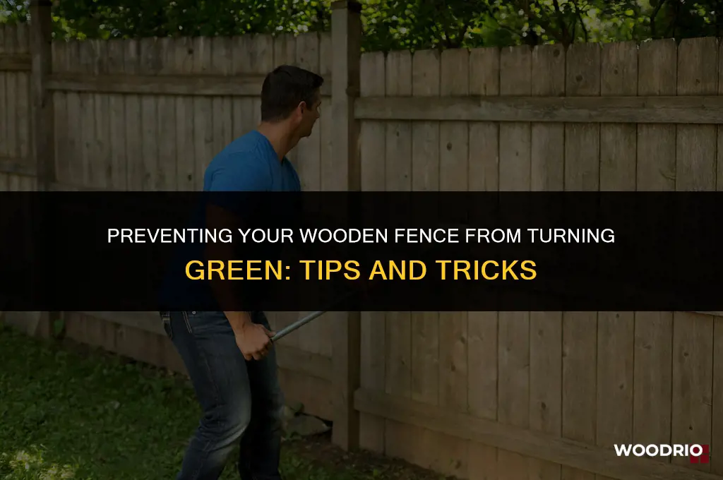 how to stop wooden fence going green