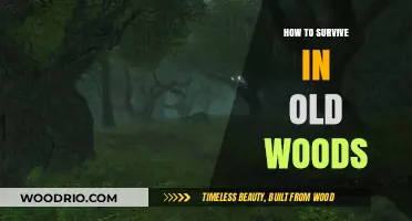 Mastering Survival Skills in Ancient Forests: A Comprehensive Guide