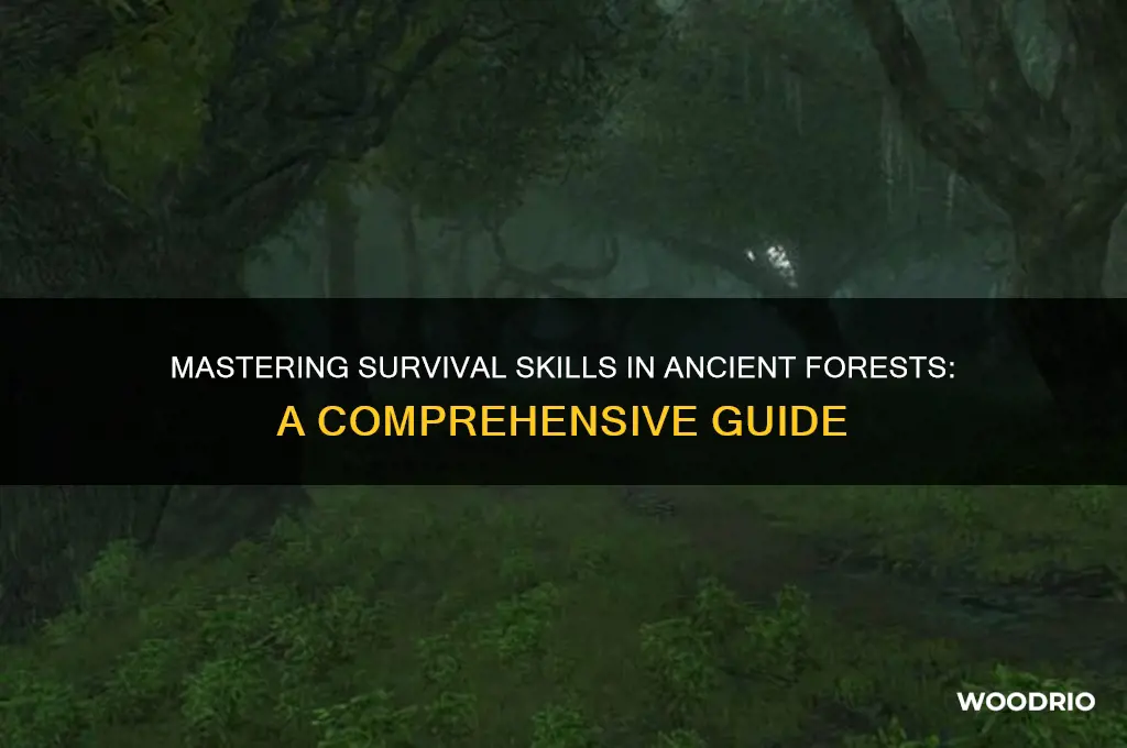 how to survive in old woods