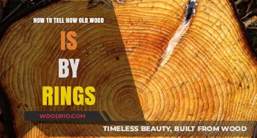 Unveiling Wood's Age: Decoding Tree Rings for Accurate Dating