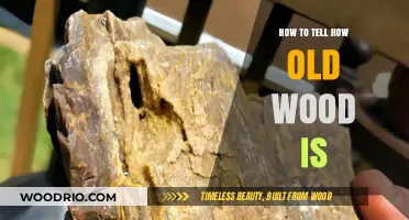 Unveiling Wood's Age: Proven Techniques to Determine Its Timelessness