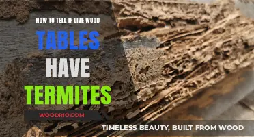 Identifying Termite Infestation in Live Edge Wood Tables: A Guide