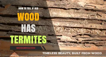 Identifying Termite Damage in Aged Wood: A Comprehensive Guide