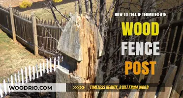 Termite Damage Alert: Signs Your Wood Fence Posts Are Under Attack
