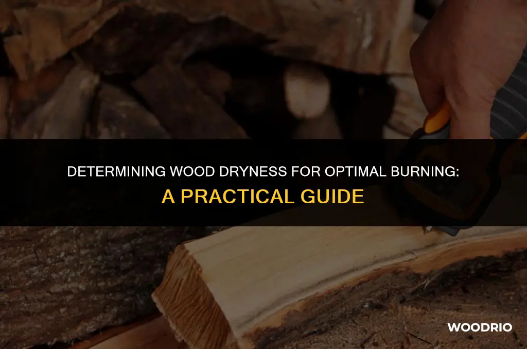how to tell if wood is dry enough to burn