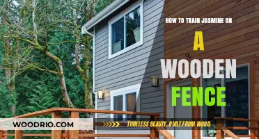 Fragrant Climb: Training Jasmine to Thrive on Your Wooden Fence