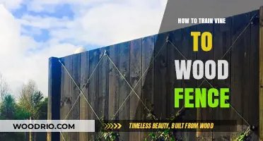 Guiding Vines: A Comprehensive Guide to Training Them on Wooden Fences