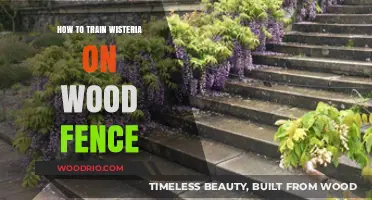 Mastering the Art of Training Wisteria on a Wooden Fence