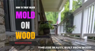 Effective Strategies to Eliminate Black Mold from Wood Surfaces