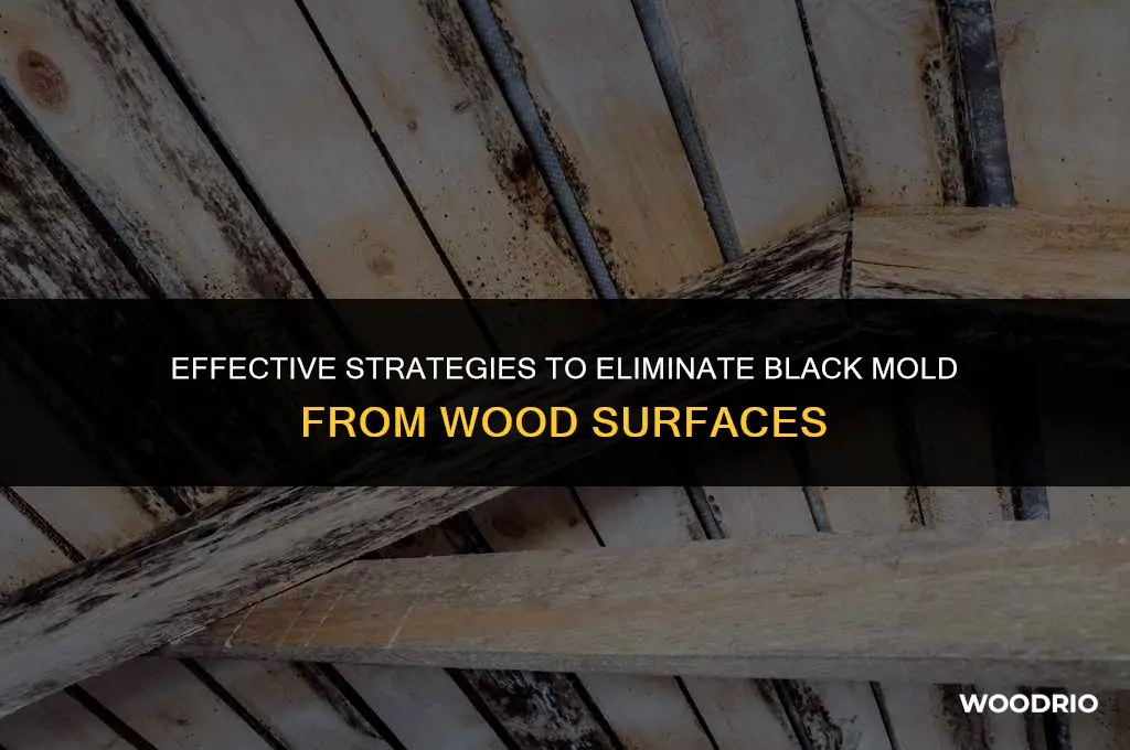 how to treat black mold on wood