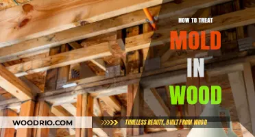 Effective Methods to Treat and Prevent Mold in Wood