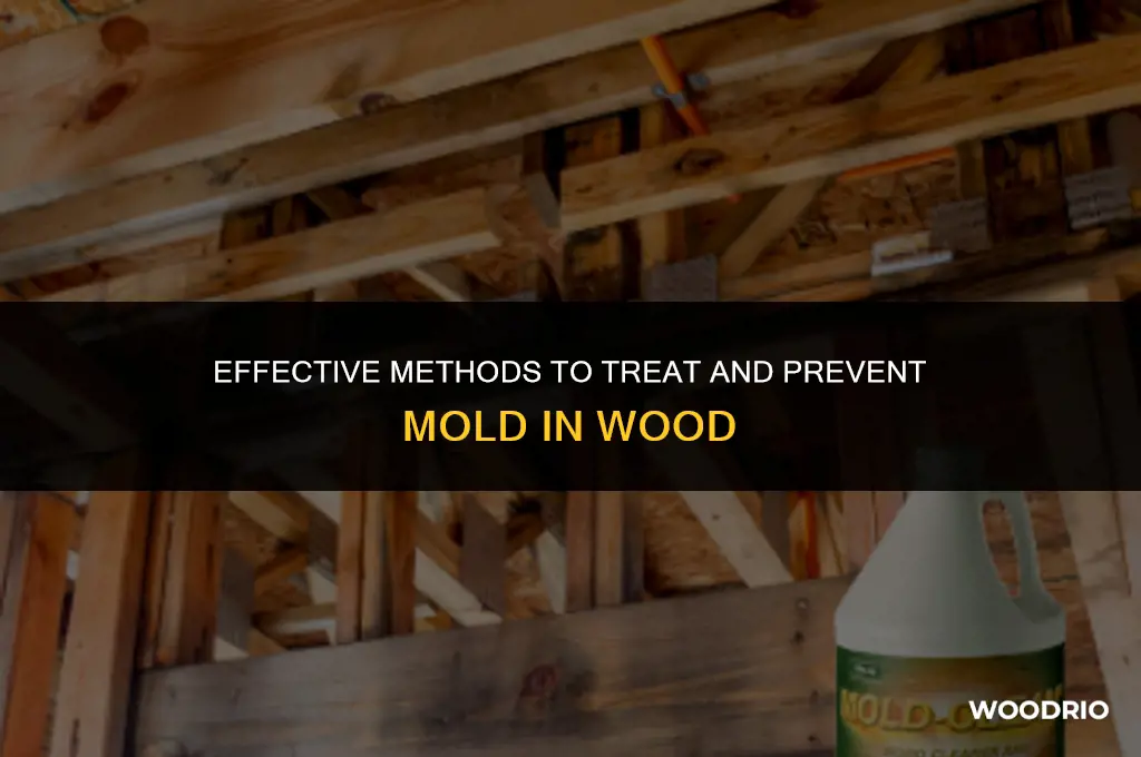 how to treat mold in wood