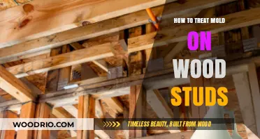 Effective Strategies for Treating Mold on Wood Studs