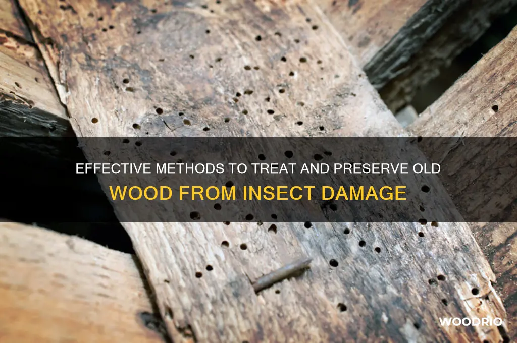 how to treat old wood from insects