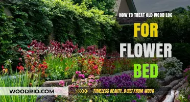 Reviving Old Wood Logs: Creative Tips for Stunning Flower Beds