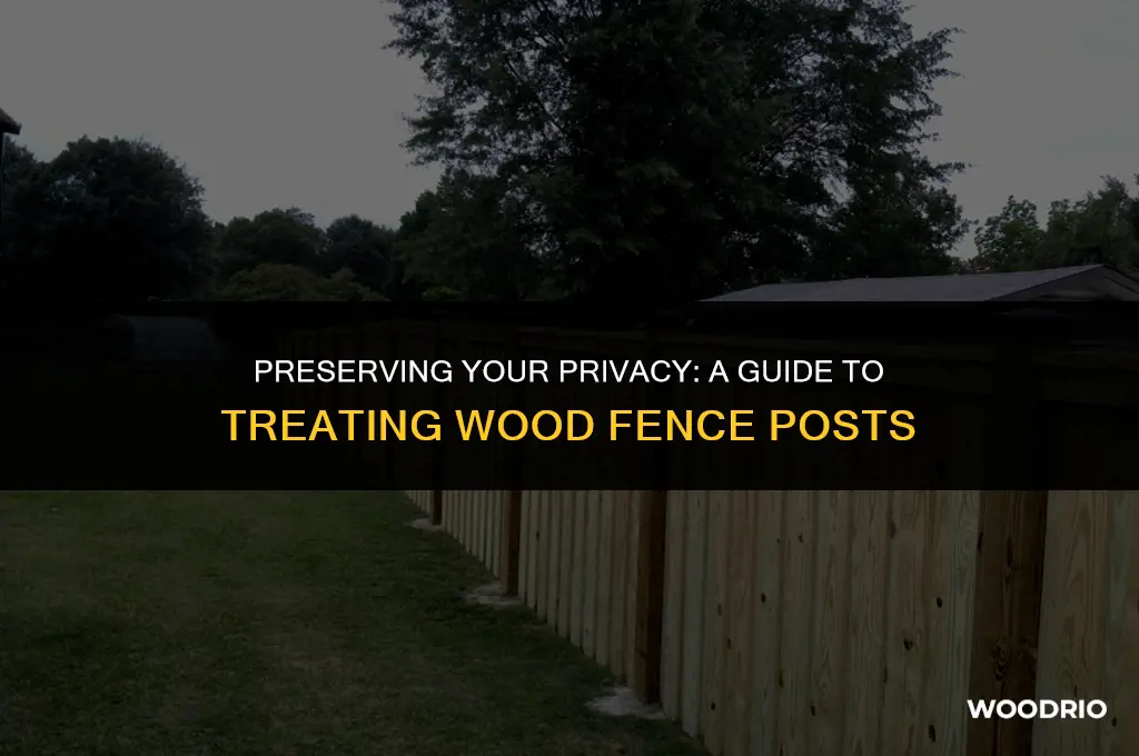 how to treat wood fence posts