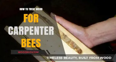 Effective Carpenter Bee Control: Treating Wood to Prevent Infestations