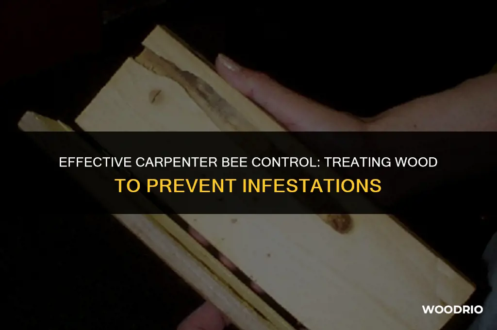 how to treat wood for carpenter bees