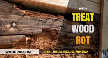 Reviving Your Timber: Effective Treatments for Wood Rot