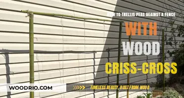 Trellising Peas: A Simple Guide to Using Wood Criss-Cross Against a Fence