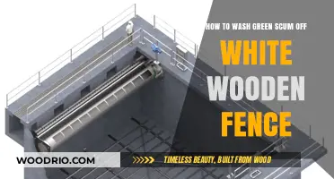 Revive Your Fence: Effective Tips to Remove Green Scum from White Wood