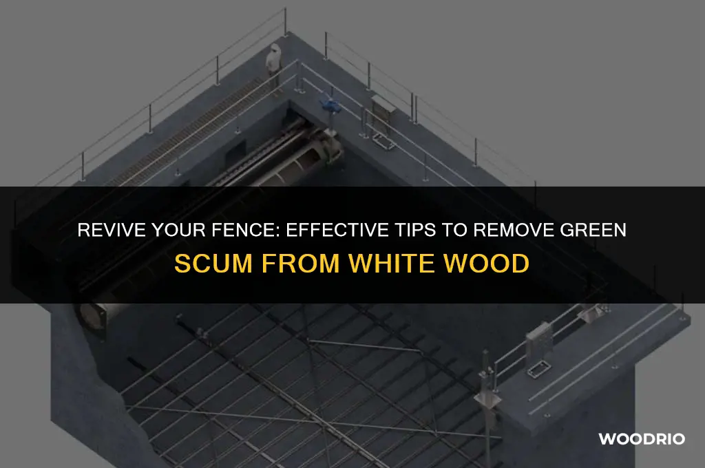 how to wash green scum off white wooden fence