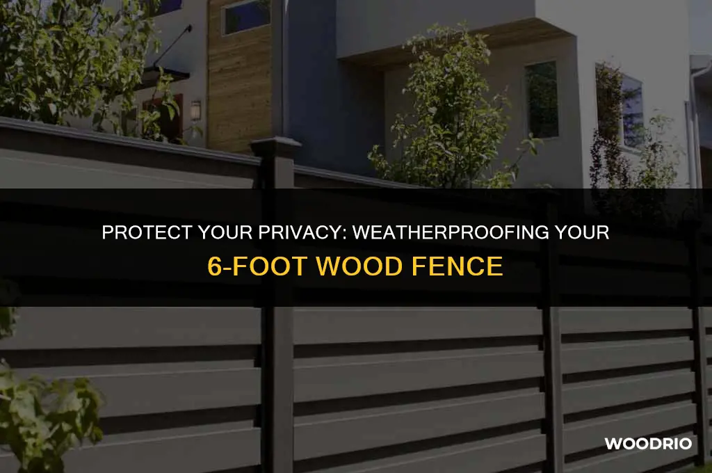 how to weather treat your 6 ft wood fence