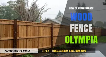 Olympia's Guide: Weatherproofing Your Wood Fence for Durability
