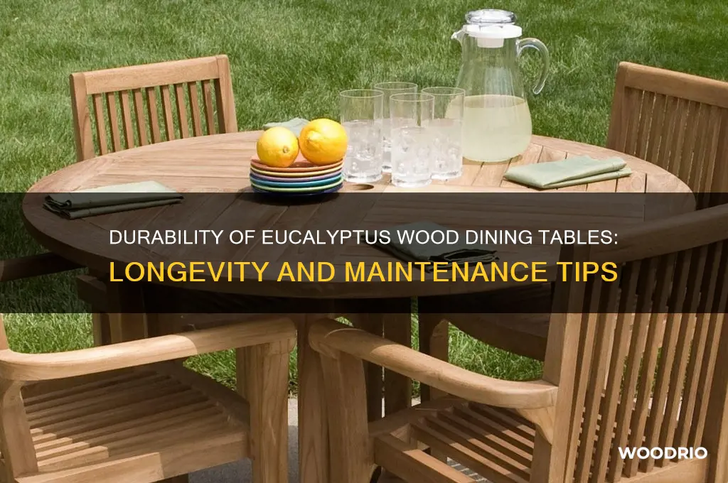 how well does a eucalyptus wood dining table hold up