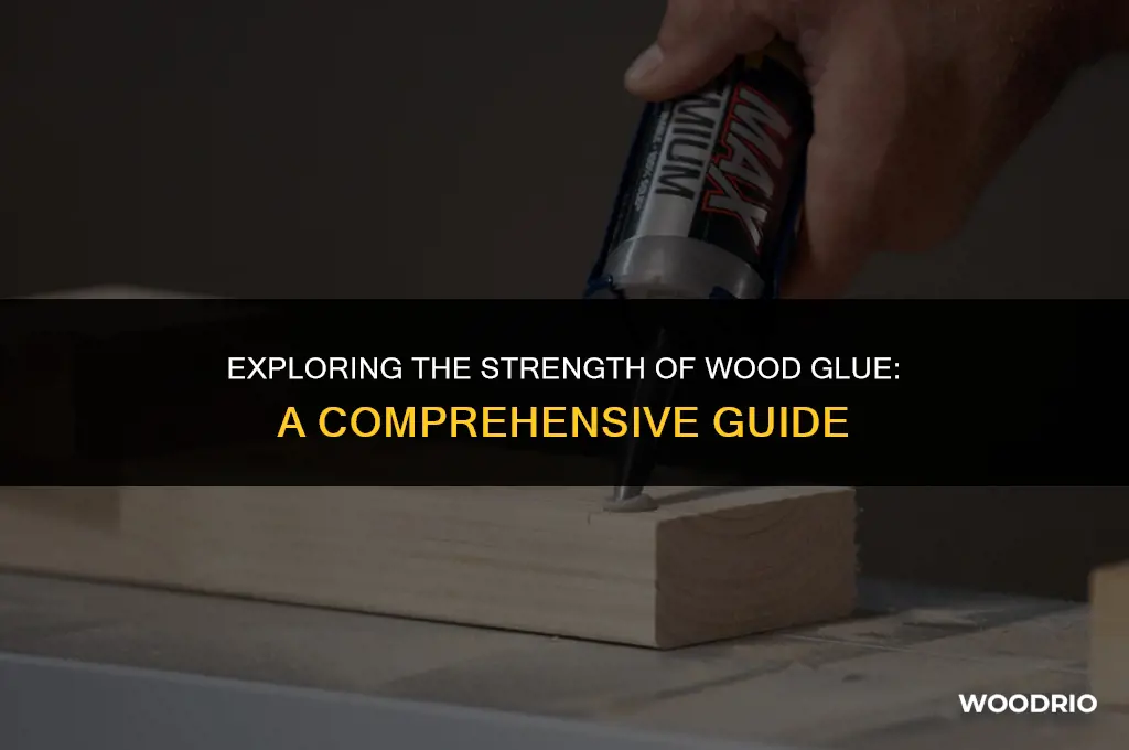 how well will wood glue hold things together