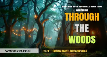 Enchanted Encounters: Puck's Quest to Find Demetrius in the Mystic Woods