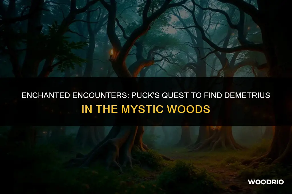 how will puck recognize demetrius wandering through the woods