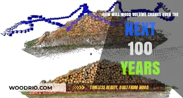 Future Forestry: Predicting Wood Volume Changes Over the Next Century