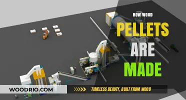 From Timber to Pellet: The Wood Pellet Manufacturing Journey