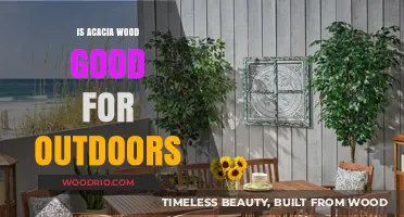Durability Unveiled: Acacia Wood's Outdoor Potential Explored