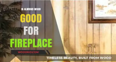 The Pros and Cons of Using Almond Wood in Your Fireplace