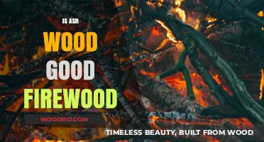 The Ideal Burn: Exploring Ash Wood's Firewood Potential