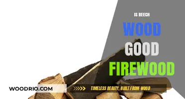 The Ideal Firewood Choice: Beech Wood's Burning Benefits