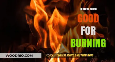 Exploring Beech Wood: An Excellent Choice for Burning?