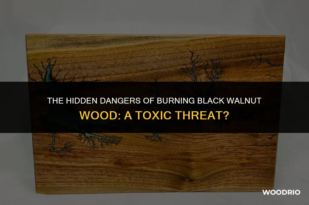 is burning black walnut wood toxic