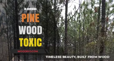 The Hidden Dangers of Burning Pine Wood: Toxicity Unveiled