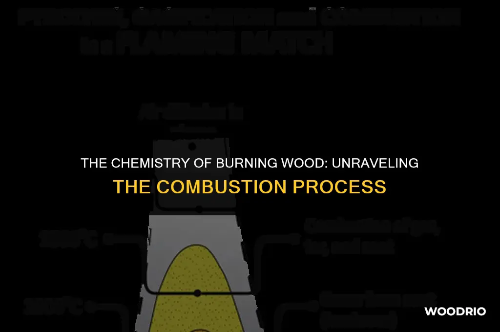 is burning wood a chemical reaction