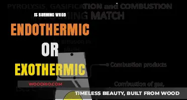 The Heat of the Matter: Understanding Wood Combustion