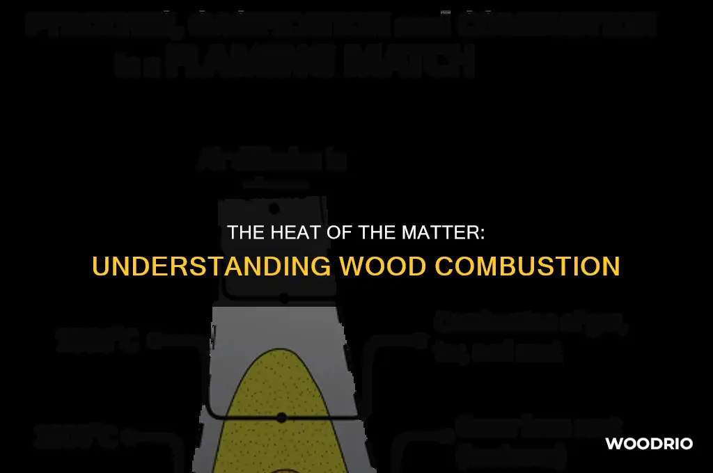 is burning wood endothermic or exothermic