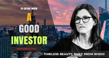 Evaluating Cathie Wood's Investment Track Record: A Comprehensive Analysis