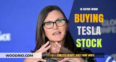 Is Cathie Wood Buying Tesla Stock? Insights and Analysis