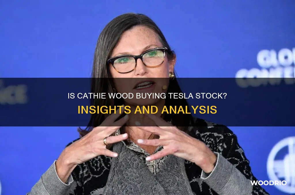 is cathie wood buying tesla stock