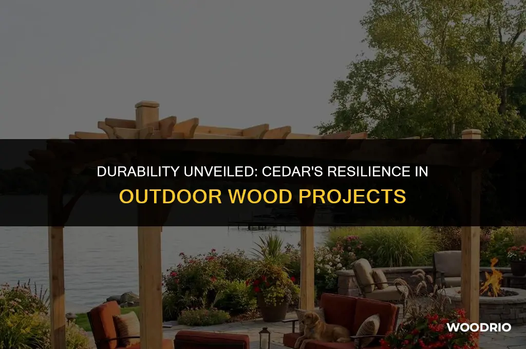 is cedar a good outdoor wood